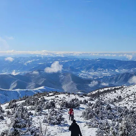 Kraljevi Cardaci 4* Kopaonik